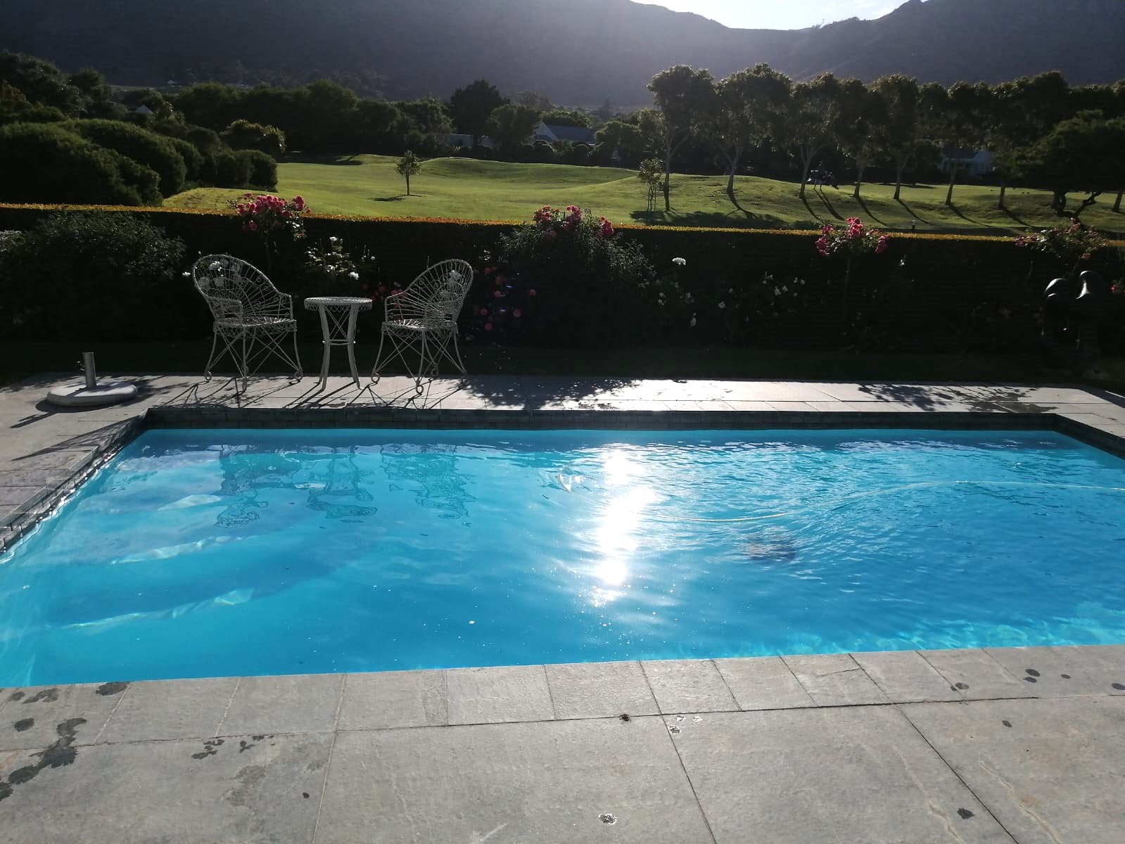 0090pool